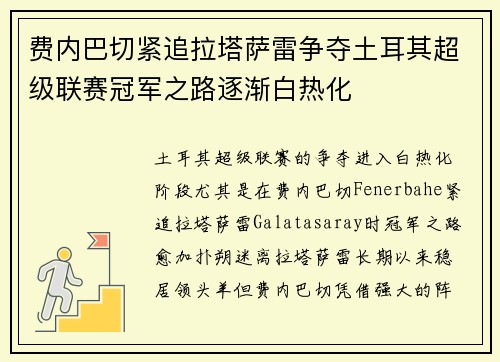 费内巴切紧追拉塔萨雷争夺土耳其超级联赛冠军之路逐渐白热化 费内巴切紧追拉塔萨雷争夺土耳其超级联赛冠军之路逐渐白热化
